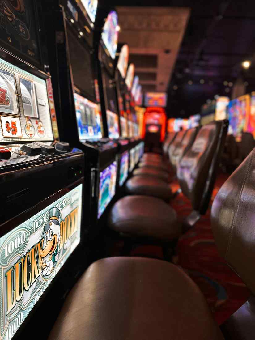Raptor casino bonuses: Get your bonus today